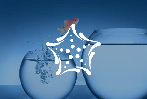 Personalberatung bei starfish.co
